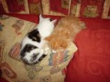 Leela and Fry
