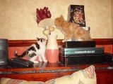 Fry and Leela exploring